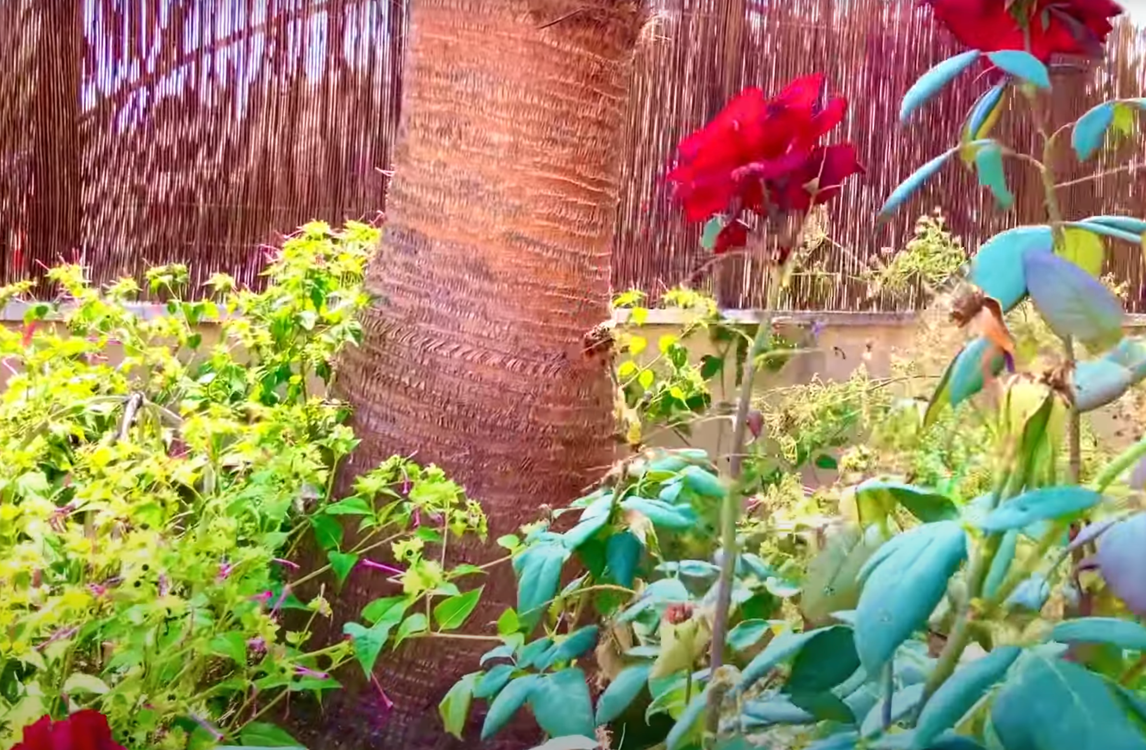 Stage de Séjours Variés au Domaine de la Lumière
